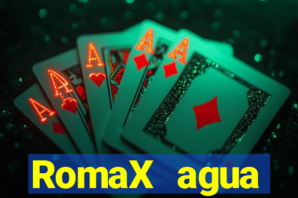 RomaX agua sanitaria fispq agua sanitaria romax